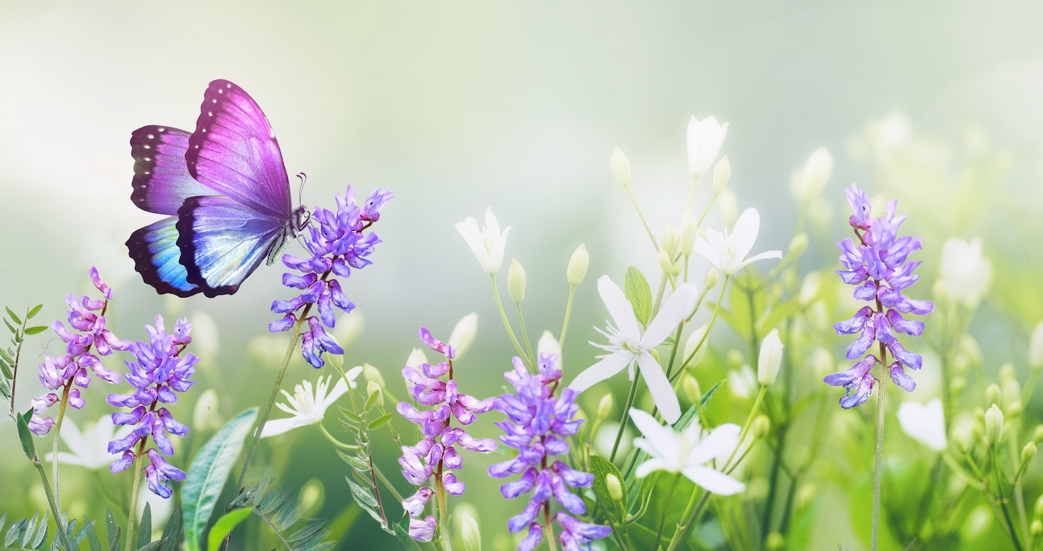 Cursus Innerlijk Werk met Tarot
