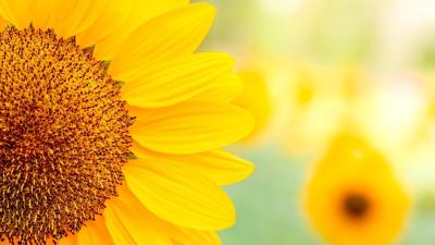 Stap in de Stroom van Overvloed